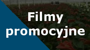 filmy-promocyjne