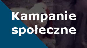 kampanie-społeczne