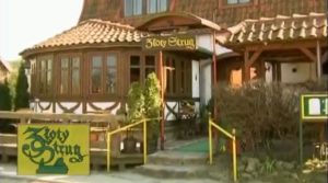 zloty-strug